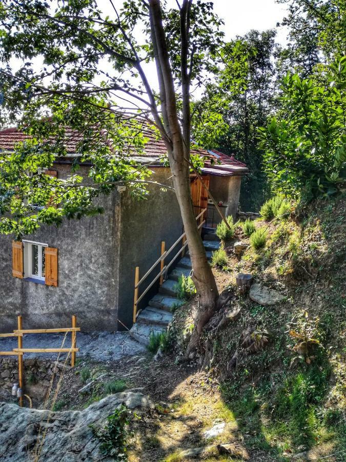 Berzuaia Bed & Breakfast Varazze Ngoại thất bức ảnh